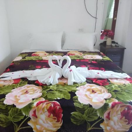 Matus Guest House Сан Игнасио Екстериор снимка